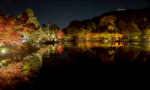 錦を纏う徳川園紅葉祭